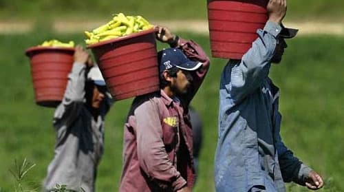 Young Farm Workers Keep Cesar Chavez’s Dream Alive